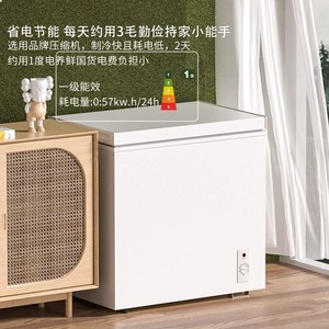 Mini Congelador de 228L con Tecnología Inverter de Doble Temperatura, Ahorro de Energía, Congelador Horizontal Doméstico, Refrigeración y Frescura Combinadas - Product Image 3