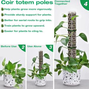 Nuevo Poste de soporte para plantas trepadoras apilable, enredaderas para plantas de interior, palos de musgo, poste de musgo de plástico duradero para macetas - Product Image 4