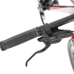 Leao China จักรยานเสือภูเขาคาร์บอนไฟเบอร์ <span class=keywords><strong>ltwoo</strong></span> จักรยานเสือภูเขาความเร็ว30สปีดจักรยานเสือภูเขาคาร์บอนเกรดสูง2025ใหม่ - Product Image 3