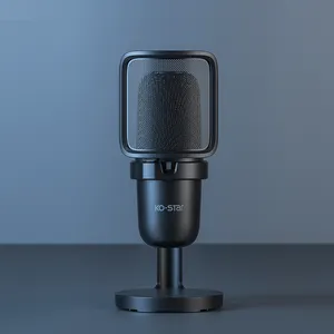 Microfono a condensatore con registrazione in streaming Live con interfaccia di tipo c microfono wireless da gioco professionale mini studio