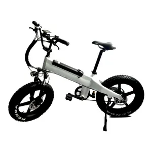 2020 electric bike 750 watt electric bike 20 inch electric bicycle e bike 36V 10Ah 250W 2 wheel ebike