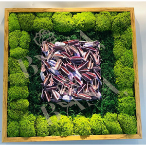 Farklı türleri İspanyol moss korunmuş yosun gerçek doğal yosun duvar fabrika fiyat ile - Product Image 2