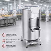 Machine à éplucher les pommes de terre à haute efficacité, éplucheur de légumes électrique automatique en acier inoxydable, minuterie, transformation alimentaire, cuisine