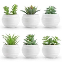 6 plantes succulentes artificielles avec pots, petites plantes artificielles en pot pour la décoration de la maison, du bureau, de la table