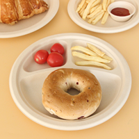 Assiette carrée compostable en bagasse de 10 pouces à 3 compartiments, biodégradable et écologique pour la restauration et les fêtes