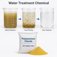 Poudre de chlorure de polyaluminium (PAC) 28% pour l'élimination des turbidités élevées