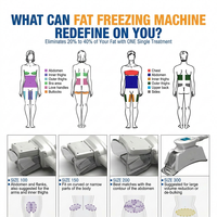 Machine de refroidissement cutané par aspiration à boule de glace 360 SPA Salon, professionnelle OEM/ODM