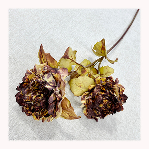 Meibao Fleurs artificielles séchées de haute qualité, pivoines de Luoyang, fleurs artificielles au toucher réel, fleurs immortelles, arrangement de scène d'automne - Product Image 2