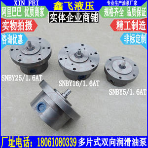 Bomba Cicloidal de Suministro de Aceite Bidireccional Serie SNBY 5/1.6AT 16/1.6AT 25/1.6AT, Bomba de Aceite para Extremo de Eje de SNBY - Product Image 1