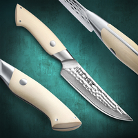 XINZUO Custom 67-laags Damascus staal steakmes, duurzaam wit G10 handvat