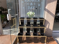 Support debout de pot de fleur de plancher, fournisseur de fleuriste, présentoir de magasin de fleur