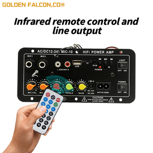 Bo mạch khuếch đại kỹ thuật số AC 220V <span class=keywords><strong>12V</strong></span> 24V BT Stereo, bo mạch khuếch đại subwoofer, micro kép, karaoke - Product Image 5