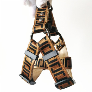 Conjunto de Collar y Correa de Lujo para Perro, Arnés Extensible de Poliéster con <span class=keywords><strong>Doble</strong></span> Letra y Correa para Perro, Suministros para Mascotas al por Mayor - Product Image 3