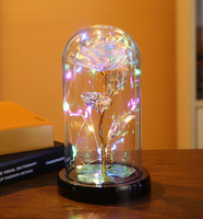 Offre Spéciale femmes noël plastique éternel galaxie rose pour toujours rose en verre dôme avec lumières led cadeau
