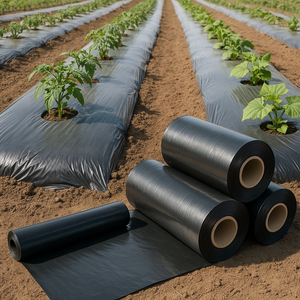 Film de paillage agricole en plastique noir, film de paillage noir anti-mauvaises herbes pour les cultures agricoles - Product Image 5