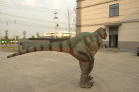 Costume de dinosaure animatronique personnalisé, modèles animatroniques, animatroniques d'Halloween, costume de raptor, costume de T-Rex géant