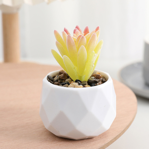 <span class=keywords><strong>Piante</strong></span> Succulente Artificiali in Vaso, Vendita all'Ingrosso, Lotto Misto Direttamente dalla Fabbrica, per Ufficio, Ringraziamento, Matrimonio, Durevoli - Product Image 4