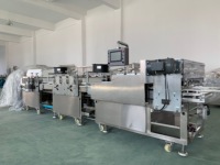 Machine de découpe automatique en acier inoxydable 304 de qualité alimentaire - 300-400 kg/h pour les bonbons aux cacahuètes/au sésame et les collations granulaires