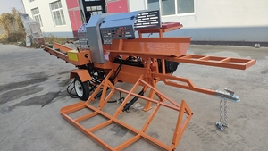 <span class=keywords><strong>Fendeuse</strong></span> de bûches 30 <span class=keywords><strong>tonnes</strong></span> neuve pour usage domestique avec élévateur de bûches intégré, composants de moteur, garantie 1 an - Product Image 6