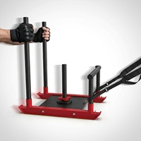 VIGFIT Trineo de Potencia para Entrenamiento con Pesas, Mango de Acero, Equipo de Ejercicio para Empujar y Tirar, Mejora de la Velocidad Atlética MS006 Personalizado
