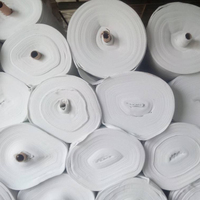Géotextile perforé par aiguille PET de haute qualité