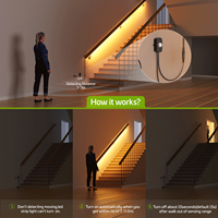 Capteur de lumière d'escalier USB DC avec variateur de luminosité et détecteur de mouvement pour contrôle de bande LED Rayzeek
