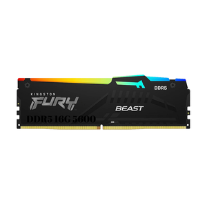<span class=keywords><strong>Kingston</strong></span> Memoria De Escritorio <span class=keywords><strong>16GB</strong></span> DDR5 5600MHz RGB Negro UDIMM Serie BESTIA De - Product Image 1