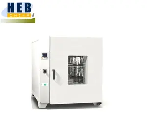 Small volume Forced air drying oven electric heating blast drying oven