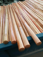 Balai à manche en bois de haute qualité, à poils doux, portable, pour le nettoyage des sols, avec tête de balai en plastique