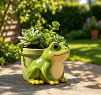 Pot de fleurs en céramique en forme de grenouille de dessin animé, finition mate, respirant, auto-arrosant, pour plantes succulentes, style pastoral, décoration de jardin intérieur/extérieur