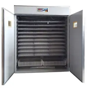 Broedmachine Broedmachine 25000 Capaciteit Showroom/Automatische Eierincubators In Ethiopië