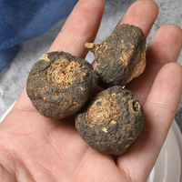 Raíz de Maca Premium / Ginseng Peruano (Lepidium Meyenii) Raíz de Maca Seca Natural, Superalimento Adaptógeno para la Energía