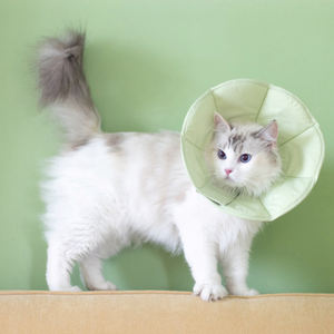 Elegante Collar Protector para Gatos Estilo Isabelino, Anti-Mordidas y Lameduras, para Curación de Heridas, Seguro, Impermeable, Suave, Ecológico, de Nailon Ajustable - Product Image 6