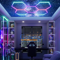 Éclairage intérieur intelligent à haut lumen, lampe à tube en aluminium de bonne qualité, lumière hexagonale RGB 12V, LED pour salle de sport