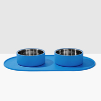 Maßgefertigter Umweltfreundlicher Auslaufsicherer Rutschfester Edelstahl Dual-Funktion Haustier Katze Hund Futter- und Wasserspender 2 Schüsseln Silikon Leckmatte
