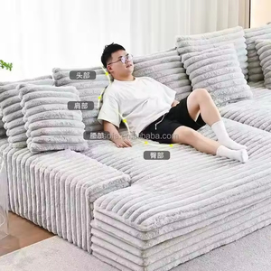 Compressed Sofa Luxury <b>Space</b> Efficiency Sofa <b>Bed</b> Modern Furniture Eco-friendly Freight Cost-effective Function Sofa Factory - Product Image 5