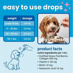 Gotas <span class=keywords><strong>de</strong></span> Colágeno Líquido <span class=keywords><strong>para</strong></span> Mascotas OEM con Vitamina C y Biotina, Origen <span class=keywords><strong>de</strong></span> Animales Alimentados con Pasto, Botella <span class=keywords><strong>de</strong></span> 60 ml <span class=keywords><strong>para</strong></span> <span class=keywords><strong>Perros</strong></span> - Product Image 3