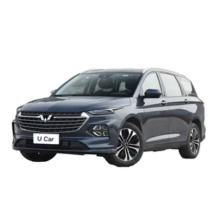 וולינג קאיג'י ניו אנרגיה MPV רכב 6 מושבים שמן טנדר רכבים היברידיים חשמליים מסין