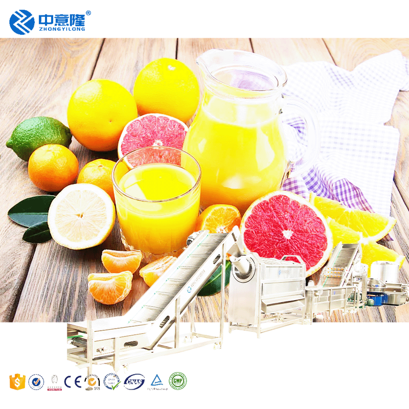 Customized Fruit Juice Making Machine Provideder