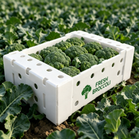Boîte d'emballage en polypropylène ondulé personnalisée pour le brocoli, pour l'exportation de légumes frais en chaîne du froid, imprimée UV, durable