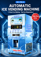 Distributeur automatique de glace à monnayeur 24h/24 et 7j/7 avec paiement intelligent, options multiples et surveillance à distance pour camping (OEM)