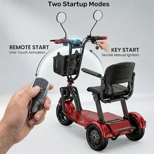 Scooter Elettrico Familiare a <span class=keywords><strong>3</strong></span> <span class=keywords><strong>Ruote</strong></span> da 10 Pollici, Pieghevole, 1000W 48V, Mini Triciclo Elettrico con Cestino, Batteria Rimovibile, Telecomando - Product Image 3