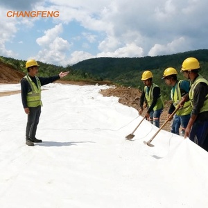 600g Filament <span class=keywords><strong>PP</strong></span> Pet vải địa kỹ thuật để kiểm soát xói mòn đường lái xe màu đen giữ lại tường thoát nước không dệt vải địa kỹ thuật - Product Image 5