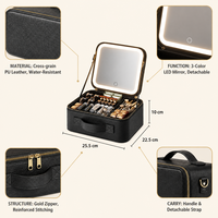 Trousses de Maquillage LED 3 Températures de Couleur avec Miroir Amovible Batterie 3000mAh Diviseurs EVA Boîtes de Voyage Étanche OEM/ODM