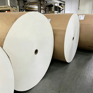 Rouleau de papier PE enduit sur mesure 170GSM 260GSM, rouleau jumbo de qualité alimentaire anti-fuite pour l'emballage alimentaire jetable en usine - Product Image 4