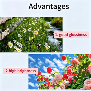 Papier photo brillant compatible avec <span class=keywords><strong>Canon</strong></span> <span class=keywords><strong>SELPHY</strong></span> CP1300 CP1500 CP1200 4x6 pouces 108 feuilles Vente en gros Faible MOQ - Product Image 6