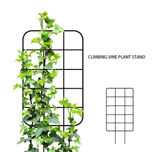 <span class=keywords><strong>Treillis</strong></span> de jardin pour plantes grimpantes Clôture de sécurité en fer Cadre de support pour <span class=keywords><strong>concombre</strong></span> Clematis Rose Vignes Clôture en <span class=keywords><strong>treillis</strong></span> métallique - Product Image 1