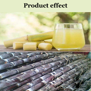 Extracteur de jus de canne à <span class=keywords><strong>sucre</strong></span> électrique automatique AN-Factory avec moteur électrique et broyeur - Product Image 6