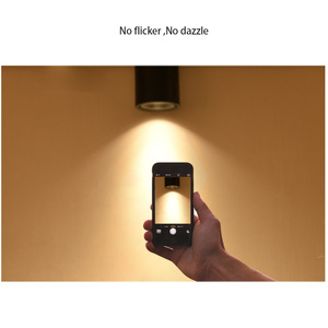 5W 7W 12W Schijnwerper Verstelbare Hoek Spoor Licht Gemonteerd Downlight Voor Thuiskantoor Residentiële