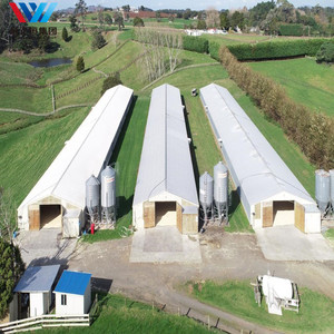 Progettazione su misura delle case di gallina della struttura d'acciaio per le case di gallina moderne della fattoria e gli allevamenti di pollo della griglia su grande <span class=keywords><strong>scala</strong></span> - Product Image 5
